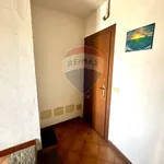 Rent 1 bedroom apartment of 30 m² in Biella