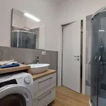 Rent 1 bedroom apartment of 40 m² in rome