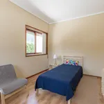 Rent 4 bedroom apartment in Porto