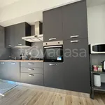 Rent 3 bedroom apartment of 95 m² in Monza