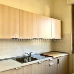 Rent 2 bedroom house of 50 m² in Rome