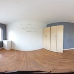 Rent 1 bedroom flat in London