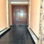 Rent 3 bedroom apartment of 68 m² in Torino