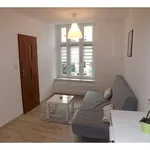 Rent 1 bedroom apartment of 25 m² in Chorzów