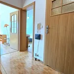 Rent 2 bedroom apartment of 50 m² in Olsztyn