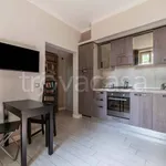 Rent 1 bedroom apartment of 35 m² in Roma