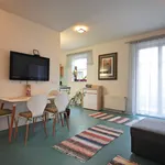 Rent 1 bedroom apartment of 34 m² in Prague