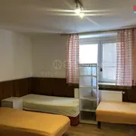 Rent 1 bedroom apartment in Kolín