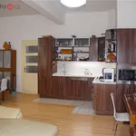 Rent 3 bedroom apartment of 87 m² in Praha 6