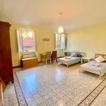 Rent 4 bedroom apartment of 180 m² in florence