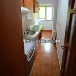 Rent 1 bedroom apartment in Grădinari