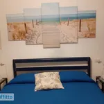 Appartamento arredato con terrazzo Porto taverna