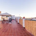 Rent 1 bedroom apartment of 50 m² in Málaga