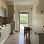 Rent 3 bedroom apartment of 80 m² in Trento