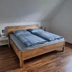 Rent 3 bedroom apartment of 63 m² in Leipzig