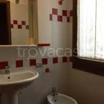 Rent 1 bedroom apartment of 30 m² in Castelfranco Veneto