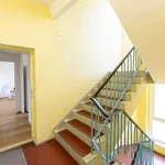 Rent a room of 66 m² in berlin