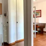 Rent 1 bedroom apartment in milan