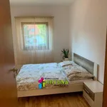 Rent 3 bedroom apartment in Capital City of Prague