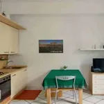 Rent 1 bedroom apartment of 40 m² in Milan