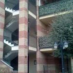 Rent 2 bedroom apartment of 55 m² in Orbassano