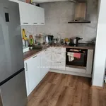 Rent 3 bedroom apartment of 71 m² in Brno