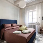 Rent 4 bedroom apartment of 95 m² in Pisa