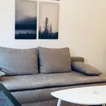 Rent 1 bedroom apartment in Graz