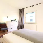 Rent 1 bedroom apartment of 560 m² in Dusseldorf