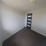 Rent 1 bedroom apartment in Tauranga