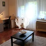 Rent 1 bedroom apartment of 37 m² in Debrecen