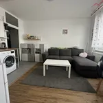 Rent 1 bedroom apartment in Chomutov