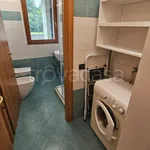 Rent 1 bedroom apartment of 47 m² in Cernusco sul Naviglio