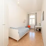 Rent 4 bedroom apartment in Prague