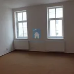 Pronajměte si 1 ložnic/e byt o rozloze 110 m² v Pilsen