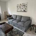 Rent 3 bedroom apartment of 61 m² in Berlin