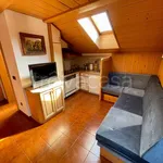 Rent 3 bedroom apartment of 65 m² in Santa Cristina Valgardena