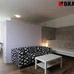 Rent 1 bedroom apartment of 36 m² in Brno