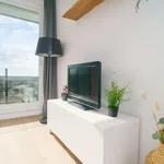 Rent 1 bedroom apartment in Westende