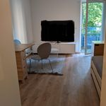 Miete 1 Schlafzimmer wohnung von 30 m² in Dresden