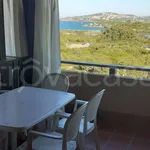 Rent 3 bedroom apartment of 50 m² in Arzachena