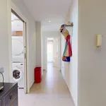 Alquilo 5 dormitorio apartamento de 75 m² en Alicante