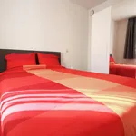 Rent 1 bedroom apartment in Brussels