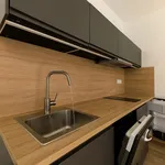 Rent 1 bedroom apartment of 35 m² in Brno