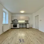 Pronajměte si 2 ložnic/e byt o rozloze 39 m² v Nový Bor