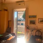 Rent 2 bedroom apartment of 80 m² in Roma