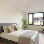 Rent 1 bedroom apartment of 135 m² in Groningen