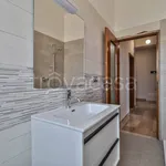 Rent 3 bedroom apartment of 75 m² in Bologna