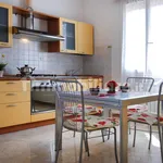 Rent 2 bedroom apartment of 75 m² in Bologna