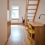 Rent 1 bedroom apartment in Brno